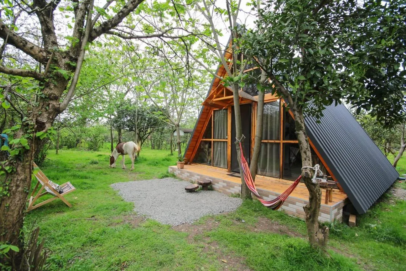 Cottage In Batumi 0*,
